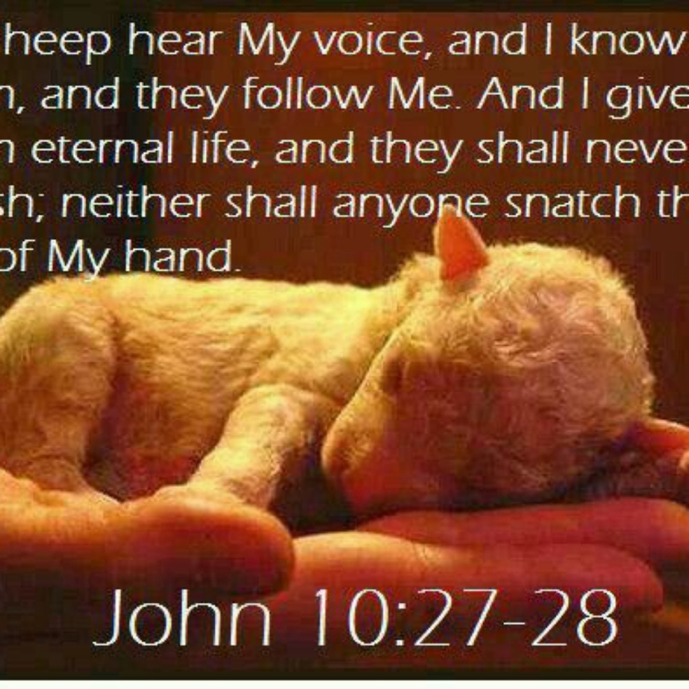 Listen to HIS Voice